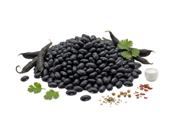 Black Bean