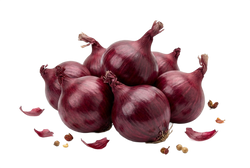 Onion
